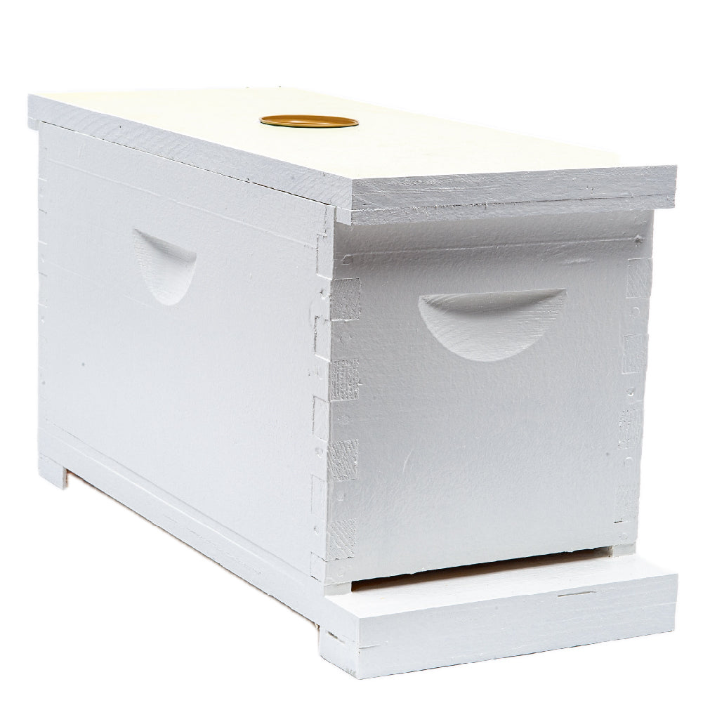 Painted Assembled 5 Frame Nuc Box w/ Top & Bottom Boards