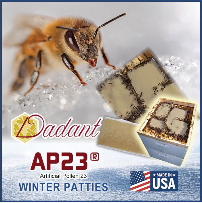 AP23 Winter Patty