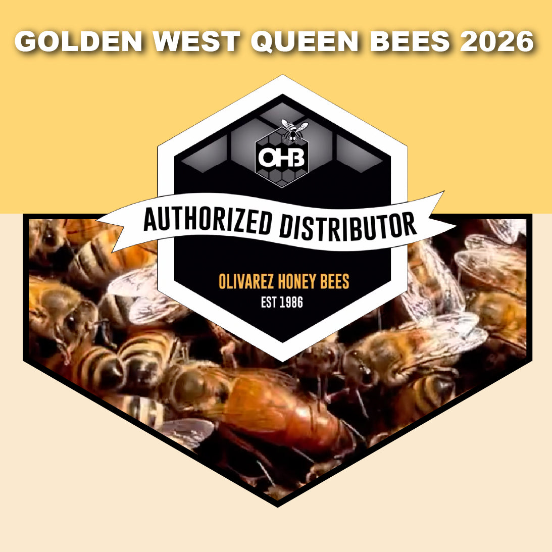Olivarez Golden West Queens Bees - Blue Ridge Honey Company