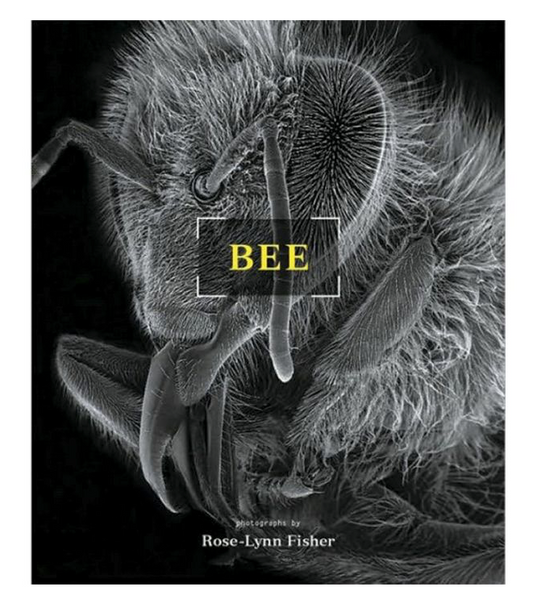 Bee: Macro Photography of the Bee