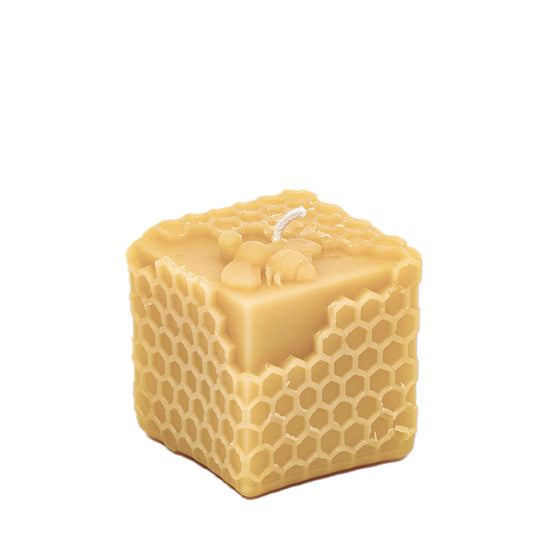 Cube Hive with Bee