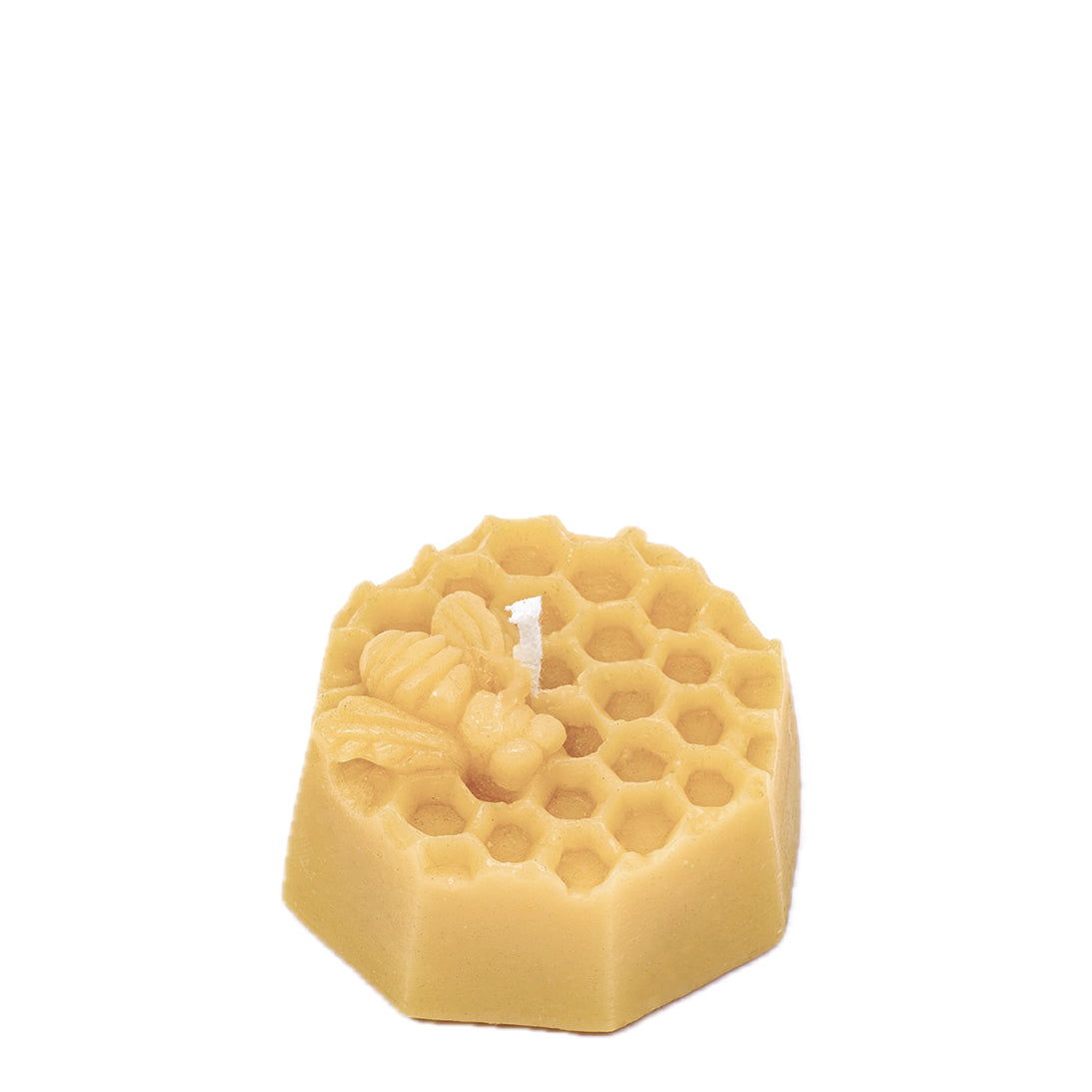 Honeycomb with Bee Candle