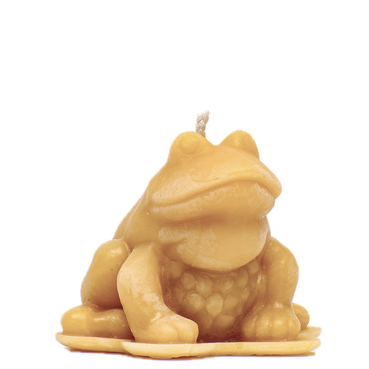 Frog candle