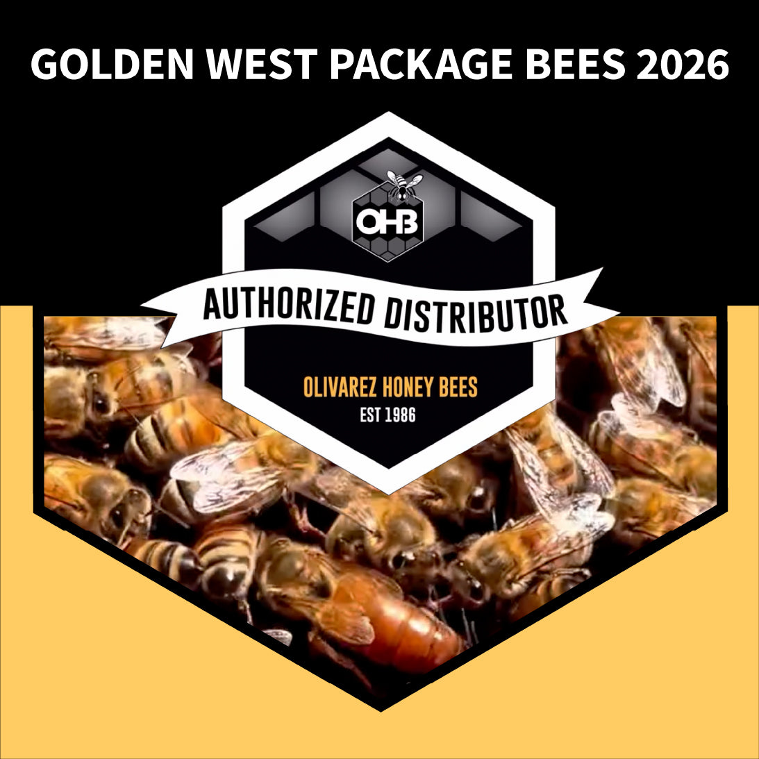 Olivarez Honey Bees – Golden West Package Bees (For Pickup Only) - Blue Ridge Honey Company