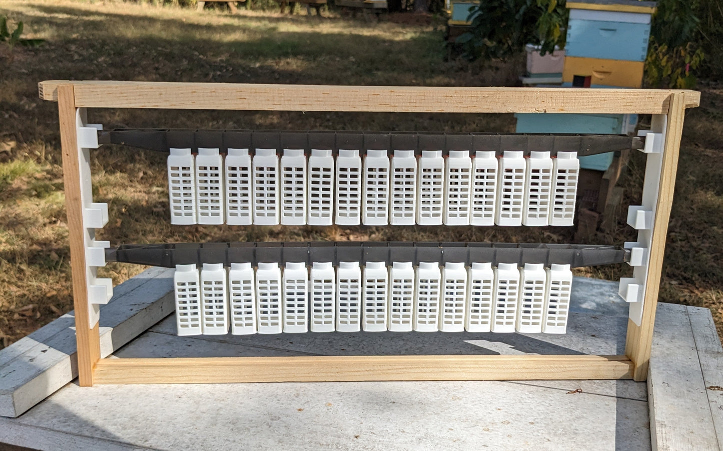 EZPZ Queen Rearing Kit - Blue Ridge Honey Company