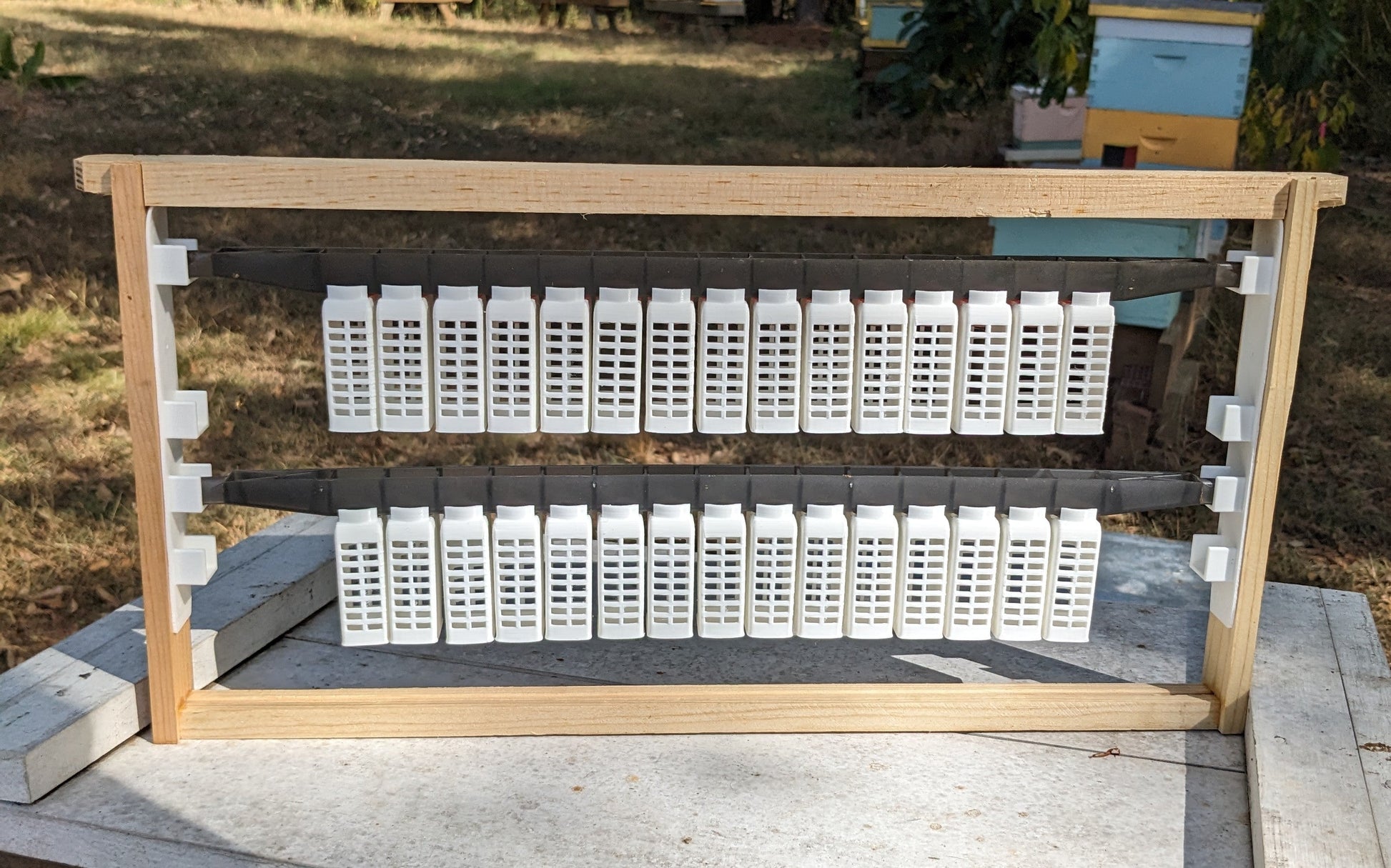 EZPZ Queen Rearing Kit - Blue Ridge Honey Company