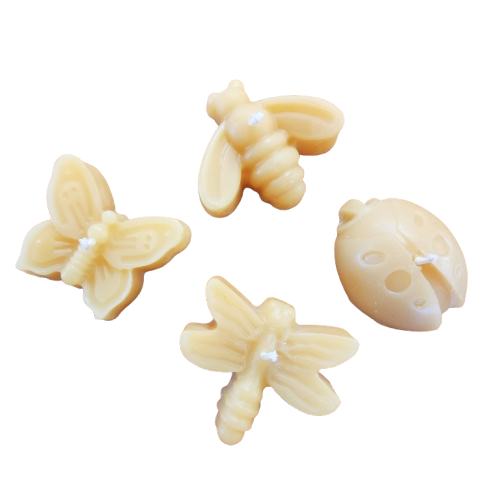 Insect Collection Beeswax Candle Set