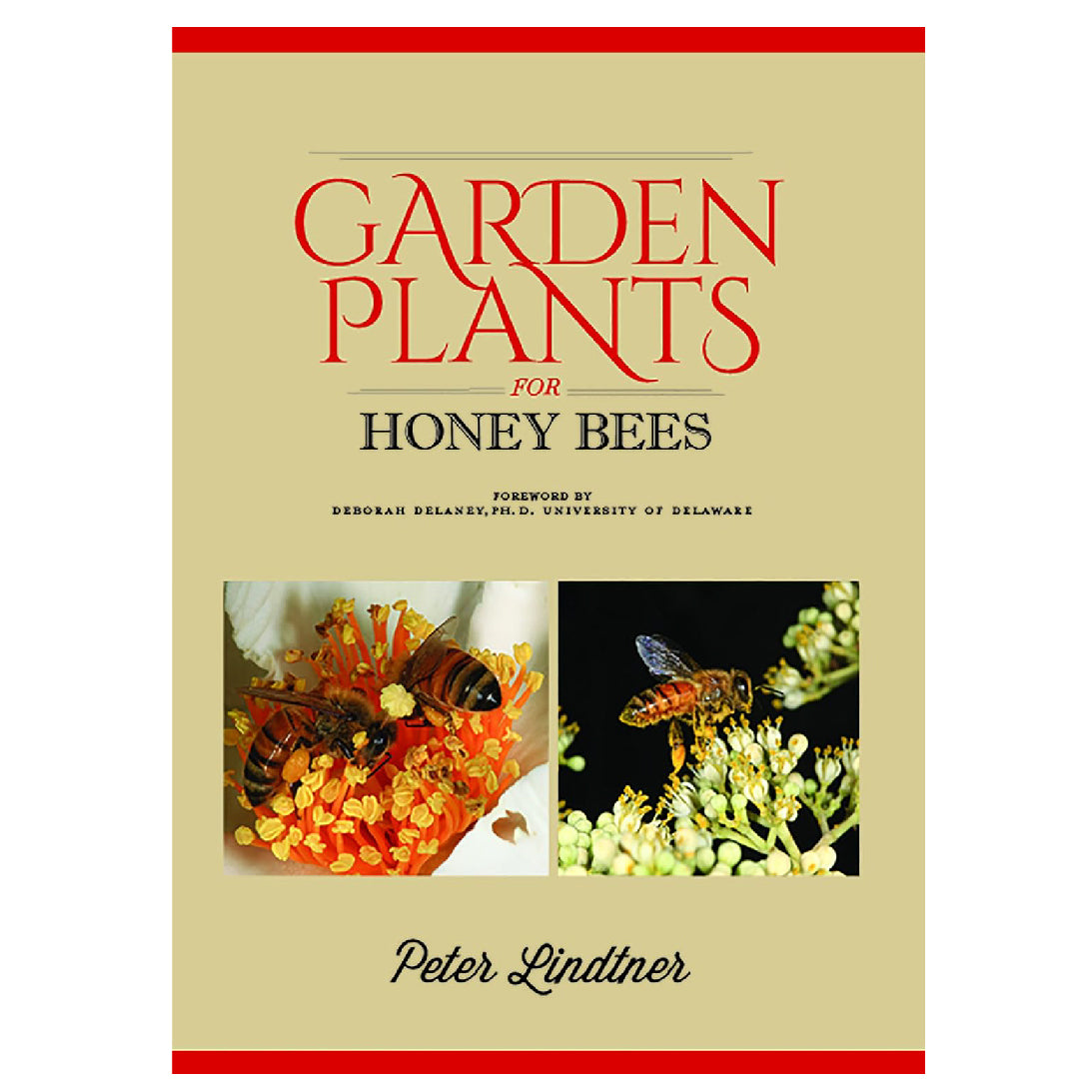 Garden Plants for Honey Bees