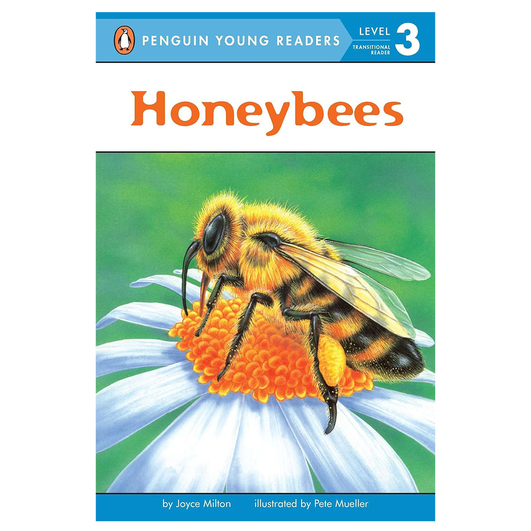 Honeybees (Penguin Young Readers)