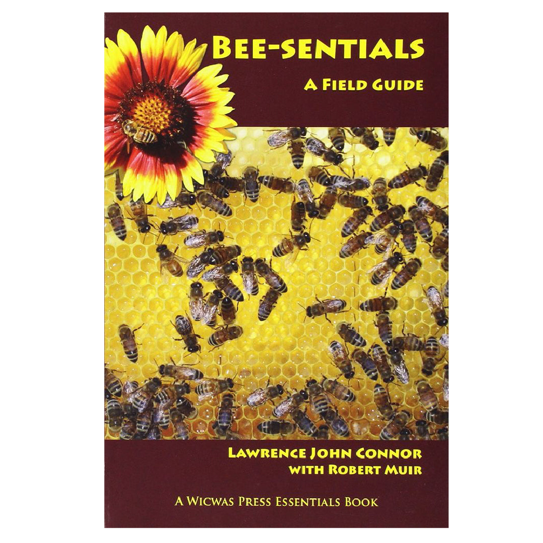 Bee-Sentials: A Field Guide