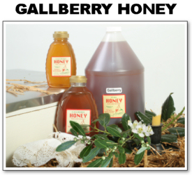 Gallberry Honey